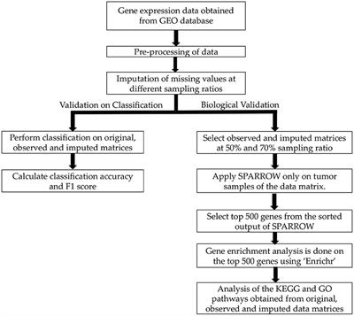 Imputation of Gene Expression Data in Blood Cancer and Its Significance in Inferring Biological Pathways